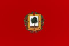 Vizcaya-Mudanzas-www.cochelimp.com