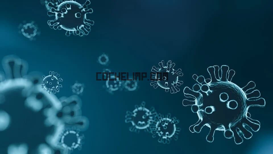 Precauciones para hacer mudanzas en la epoca del coronavirus