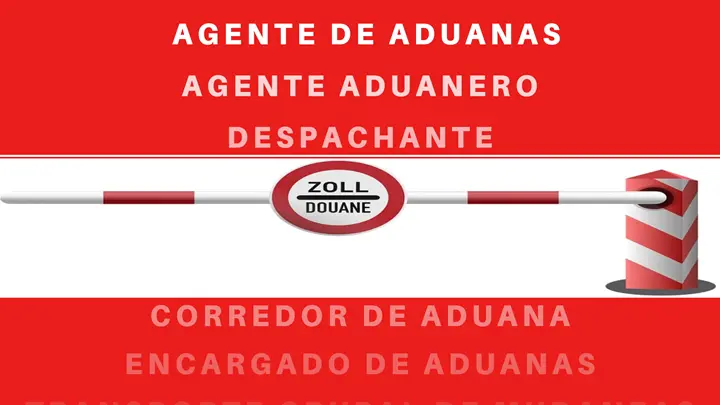 agente de aduanas