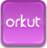 orkut-www.cochelimp.com